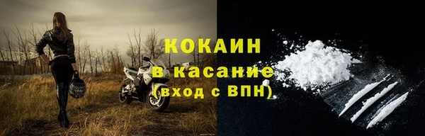 хмурый Пересвет