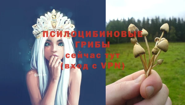 соль ск Балахна