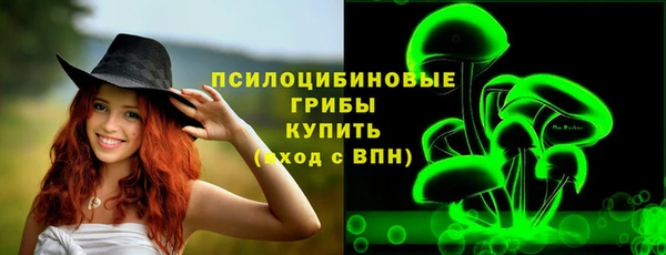 соль ск Балахна