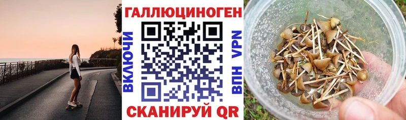 MEGA онион  Ленск  Псилоцибиновые грибы MAGIC MUSHROOMS 